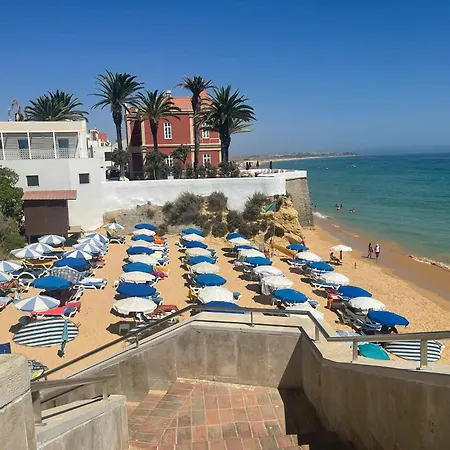 Gaivota By Mtphomes *