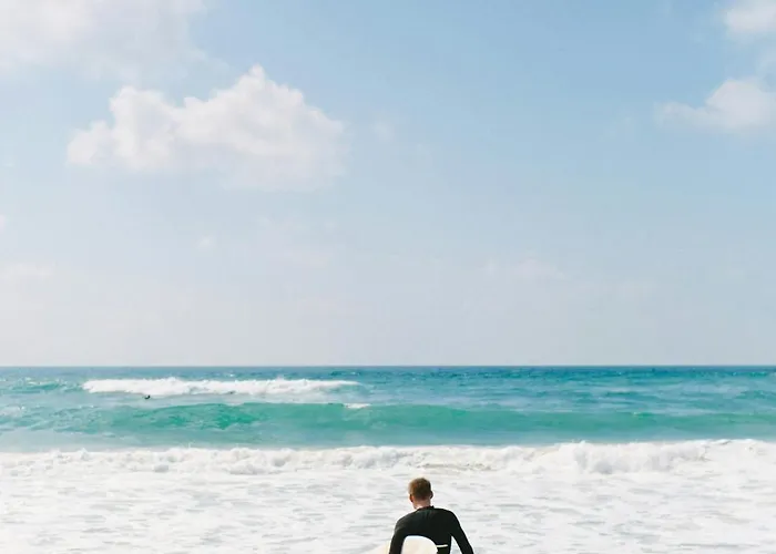 Gaivota By Mtphomes Apartment *