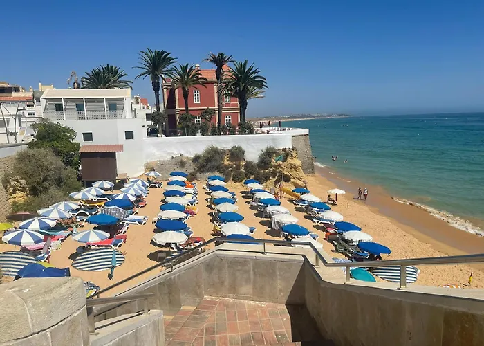 Gaivota By Mtphomes *